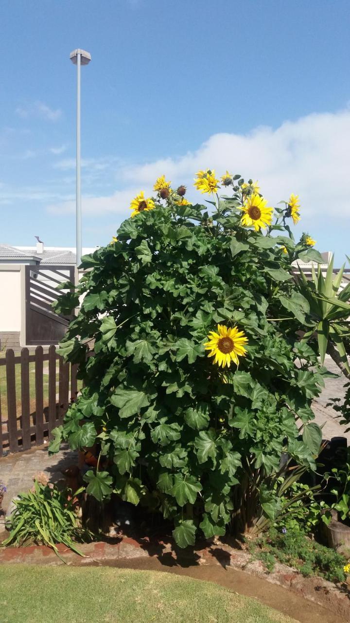 Sunflower Self-Catering Walvis Bay Ngoại thất bức ảnh