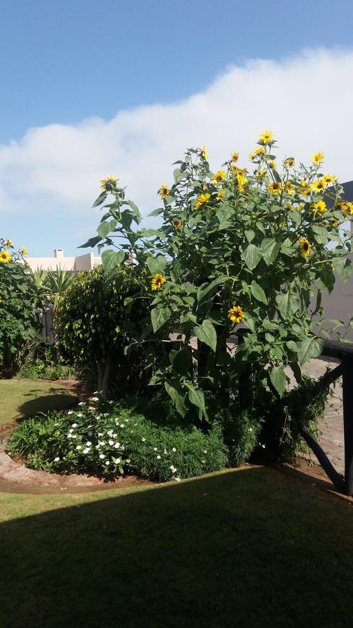 Sunflower Self-Catering Walvis Bay Ngoại thất bức ảnh