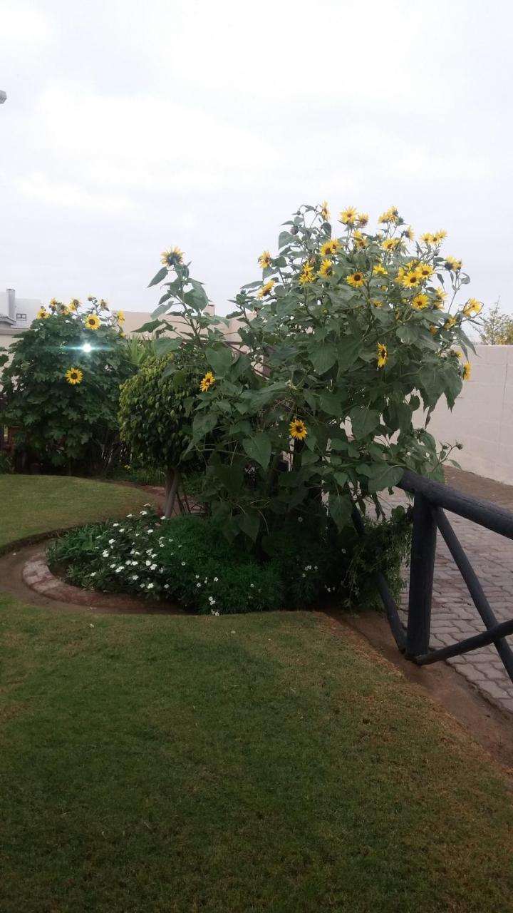 Sunflower Self-Catering Walvis Bay Ngoại thất bức ảnh